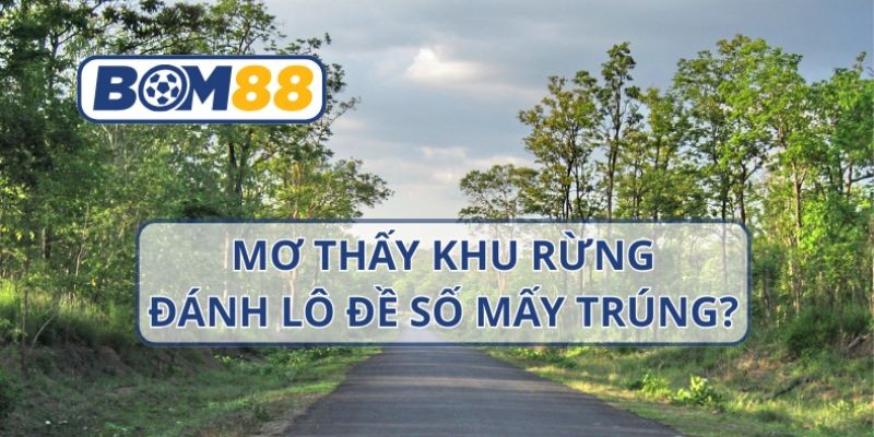 BOM88 Mơ thấy khu rừng thì nên đánh con nào ? Giải mã giấc mơ cùng Bom88