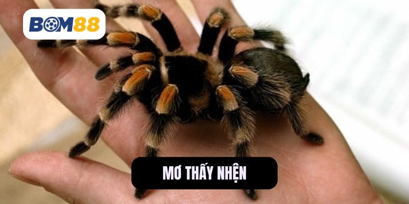 BOM88 Giấc Mơ Thấy Nhện – Thông Điệp Gì Đang Gửi Tới Bạn?